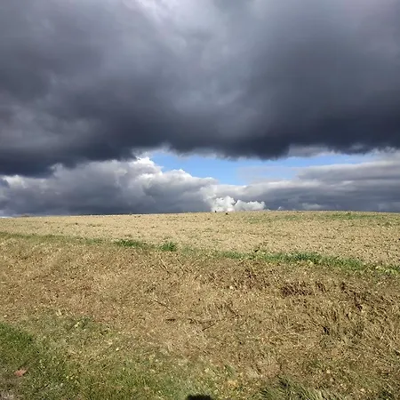 Nid Sous Le Volcan - Maison Avec Jardins Saint-Sandoux