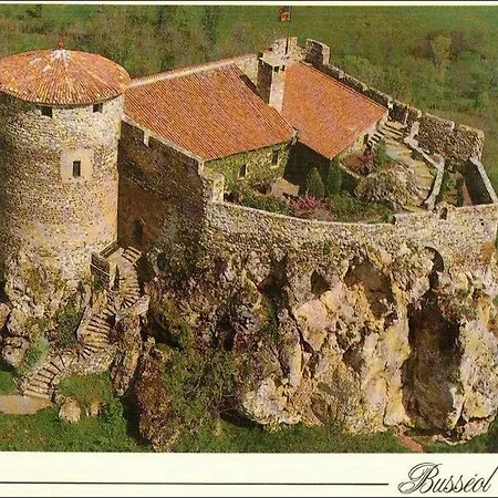 Nid Sous Le Volcan - Maison Avec Jardins *