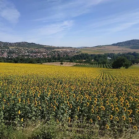 Nid Sous Le Volcan - Maison Avec Jardins Vakantiehuis