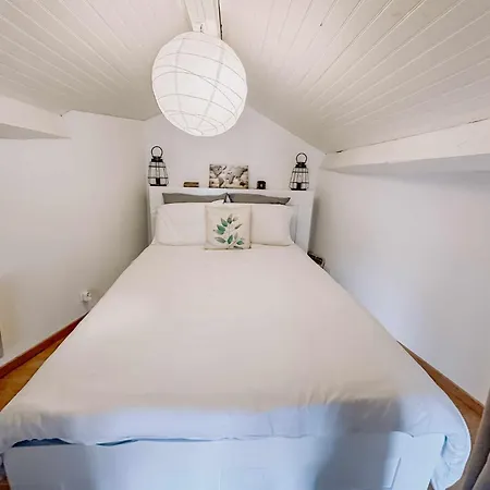 Nid Sous Le Volcan - Maison Avec Jardins Saint-Sandoux
