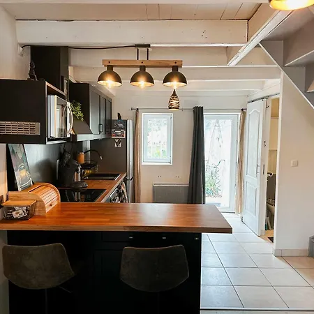 Nid Sous Le Volcan - Maison Avec Jardins Vakantiehuis *