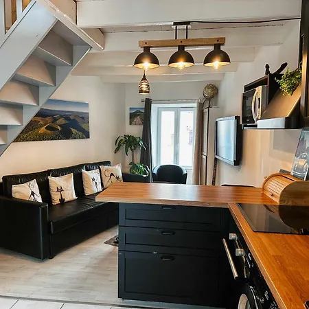 Nid Sous Le Volcan - Maison Avec Jardins *