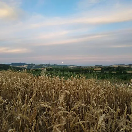 Vakantiehuis Nid Sous Le Volcan - Maison Avec Jardins Saint-Sandoux